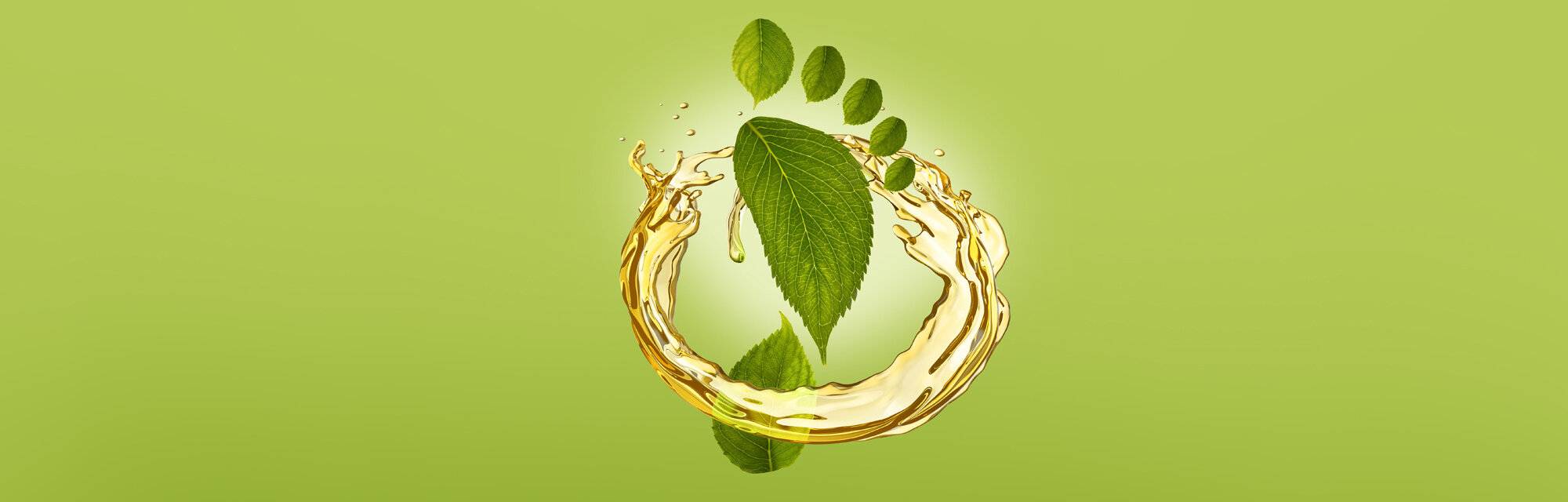 Keyvisual von artimelt für Sustainability