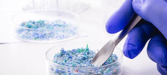 Plastik und Mikroplastik in Petrischale